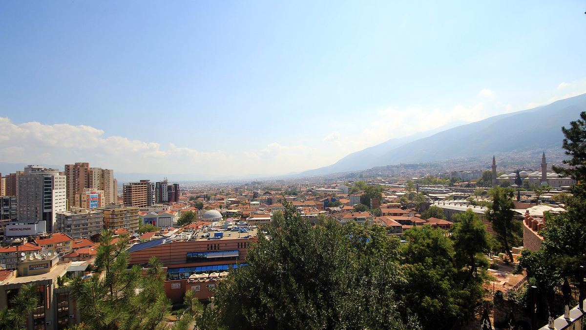 Bursa